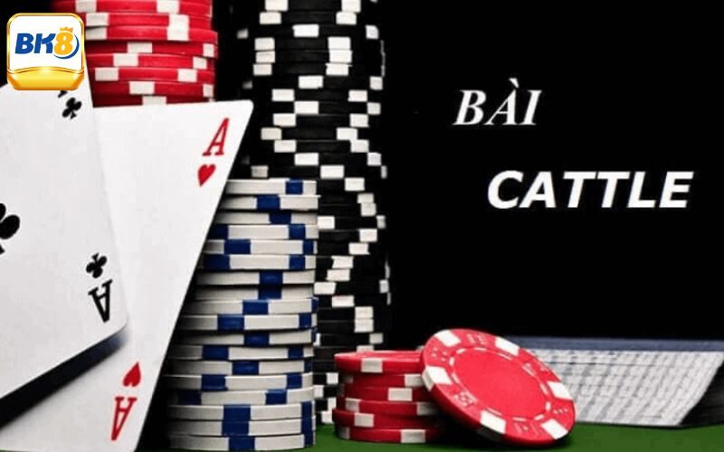 Cách Chơi Bài Catte Đúng Luật Và Chia Sẻ Mẹo Chắc Thắng 1 Đôi nét khái quát về bộ môn bài Catte